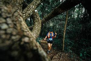 BIB: 
                            <button type="button" onclick="openModal(25705015)" class="btn btn-primary btn-sm float-right btn-popup" data-toggle="modal" data-target=".modal-high-quality">
                        <i class="fas fa-shopping-cart"></i> Add to Cart
                    </button>
                                            <button type="button" onclick="isThisMe(25705015, true)" class="btn btn-success btn-sm float-right btn-popup btn-isme hidden" data-toggle="tooltip" data-placement="bottom" title="นี่คือรูปของคุณใช่ไหม คลิกที่นี่เพื่อเอาเข้าอัลบั้ม">
                        <i class="fas fa-plus"></i> Add to album
                    </button>
                    <button type="button" onclick="isThisMe(25705015, false)" class="btn btn-warning btn-sm float-right btn-popup btn-isnotme hidden">
                        <i class="fas fa-ban"></i> Remove from album
                    </button>